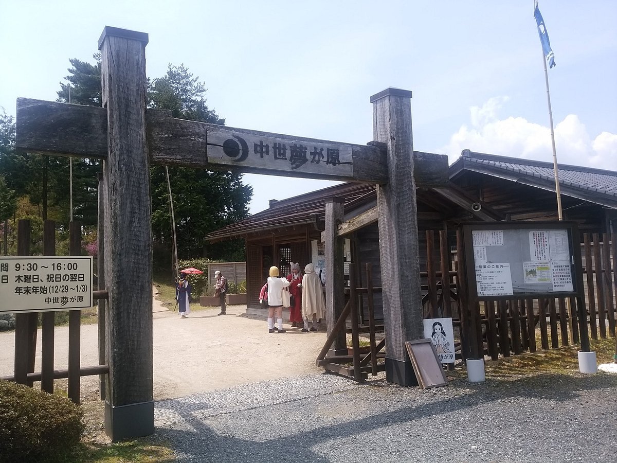 🏞️ 중세 꿈의 벌판(추세이 유메가하라) 이미지 5